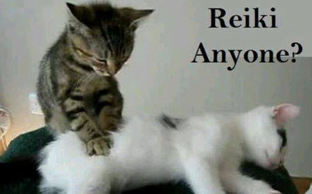 What is Animal Reiki?