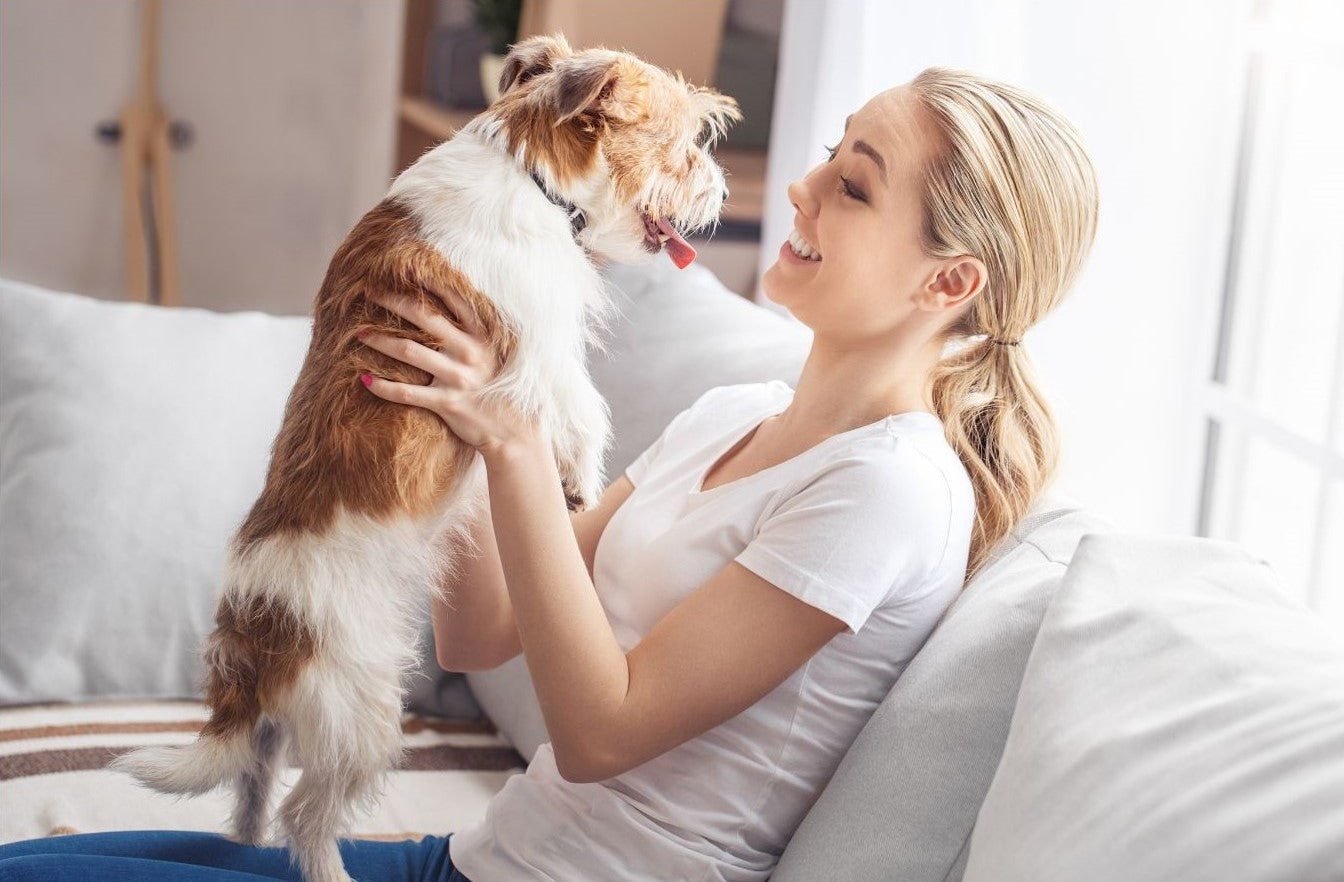 Pet Care Advice (Online & Local)