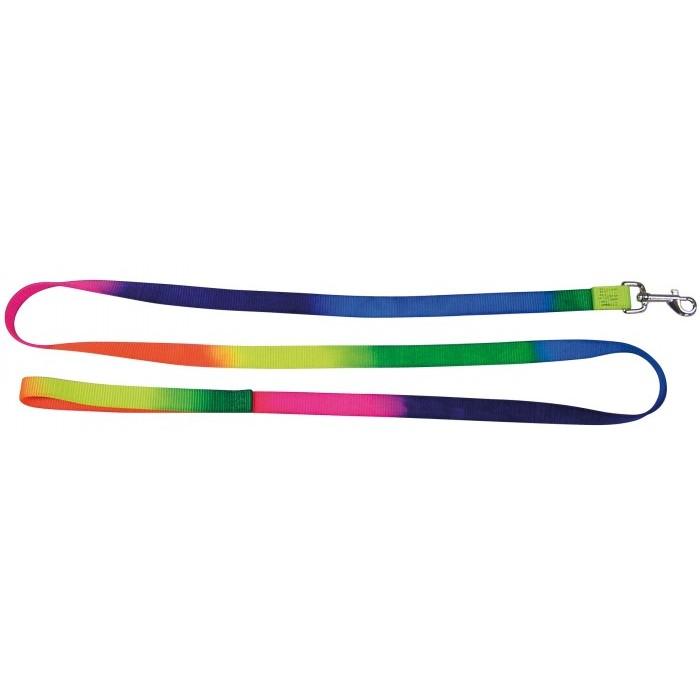 Leads - Rainbow