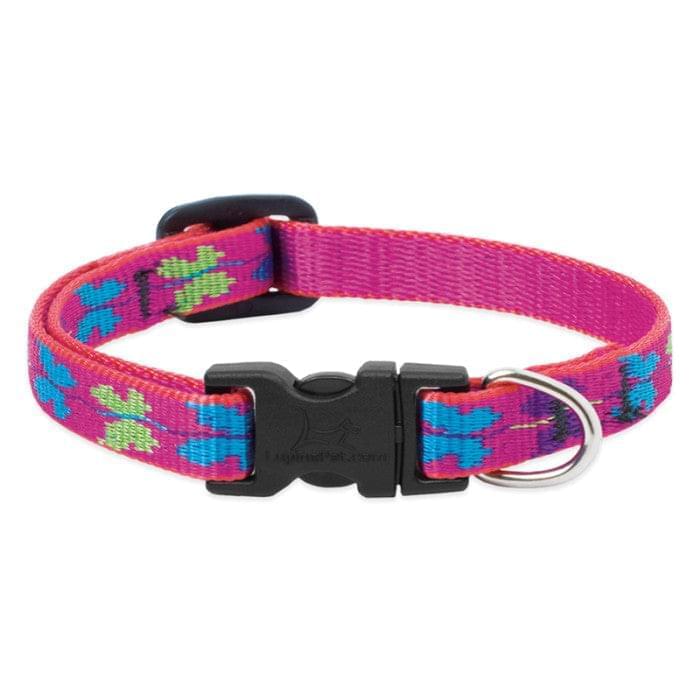 Collars (Lupine Pet)