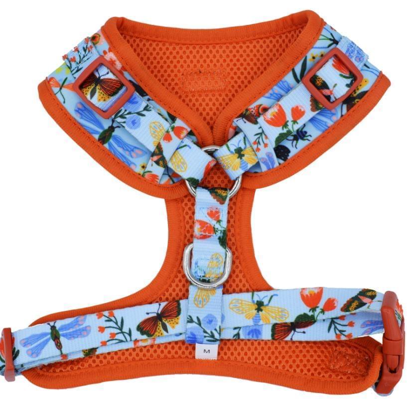 Dog  Harness (Neoprene)