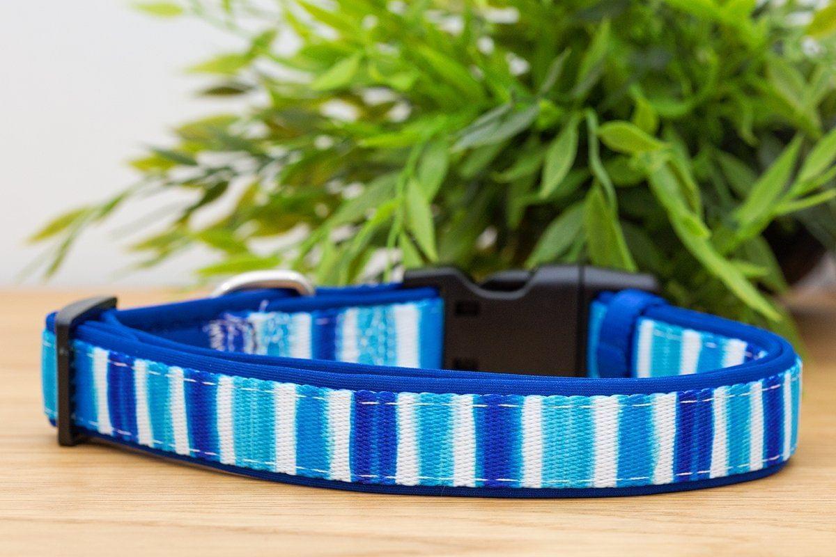 Dog Collar (Neoprene)