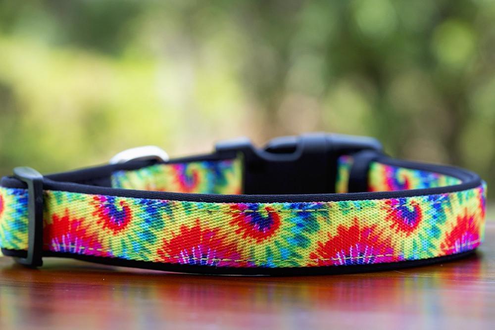 Dog Collar (Neoprene)