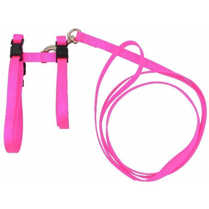 Collar and Harness Puppy or Cat