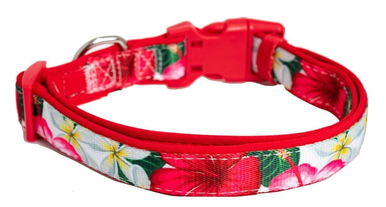 Dog Collar (Neoprene)