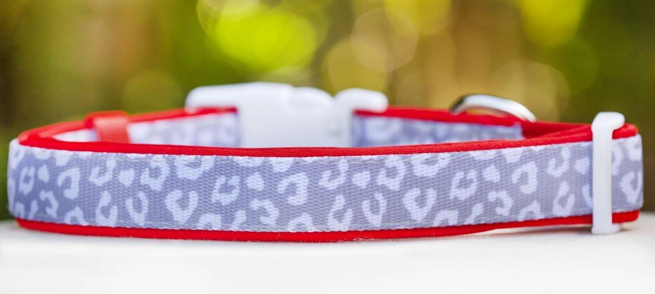 Dog Collar (Neoprene)